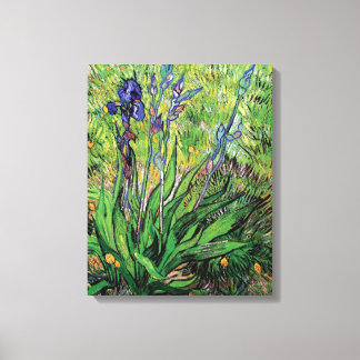 Lienzo Vincent Van Gogh - El Iris Amante de la Naturaleza