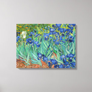 Lienzo Vincent Van Gogh - Irises