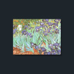 Lienzo Vincent van Gogh - Irises<br><div class="desc">Irises (1889) de Van Gogh es una pintura vintage post impresionsionismo de arte fino de naturaleza floral. Un grupo de iris morados con barba y una sola flor blanca de iris que crece en un jardín. Fue una de sus primeras pinturas cuando estuvo en el asilo en Saint-Remy-de-Provence. En 1987...</div>