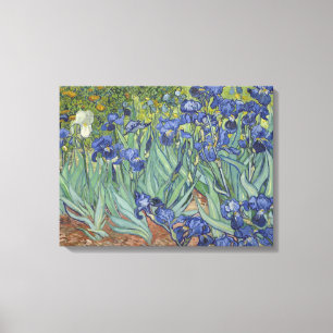 Lienzo Vincent Van Gogh Irises