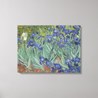 Lienzo Vincent Van Gogh Irises