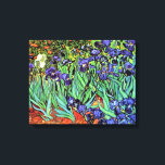 Lienzo Vincent Van Gogh - Irises - Bella Artes de los ama<br><div class="desc">Aceite sobre lienzo de 1889 que muestra hermosos iris morados que Van Gogh pintó mientras se alojaba en el asilo en Saint Paul-de-Mausole en Saint-Remy, Francia. Mientras que muchas versiones de esta pintura muestran las flores como azules, científicos que estudian los iris en una de las pinturas posteriores de Van...</div>