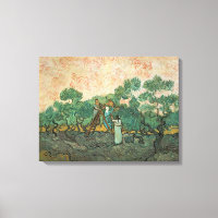 Vincent van Gogh | Los recolectores de aceitunas, 
