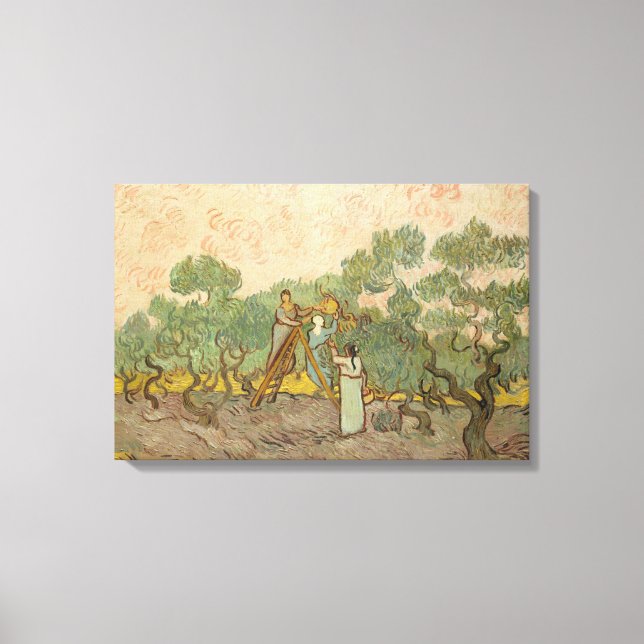 Lienzo Vincent van Gogh - Mujeres recolectando aceitunas (Anverso)