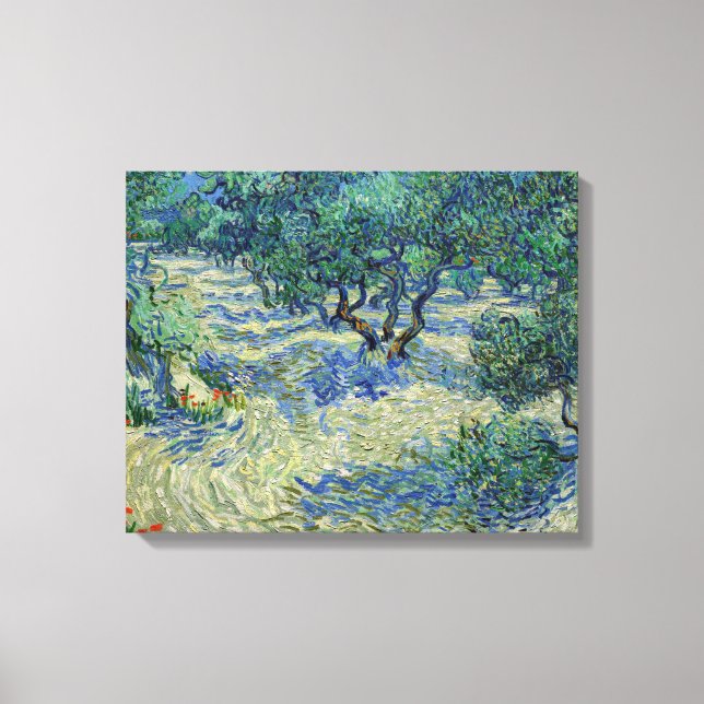 Lienzo Vincent van Gogh - Olivar (Anverso)