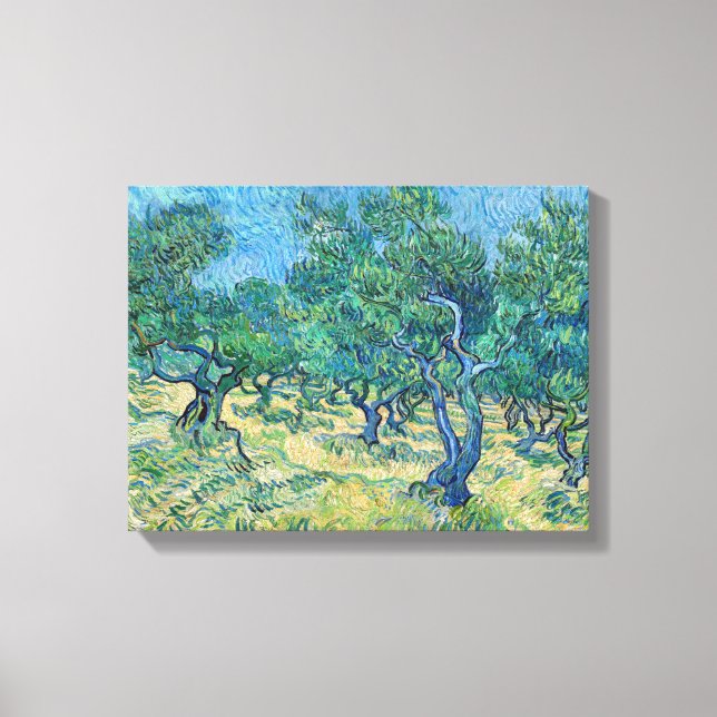 Lienzo Vincent van Gogh - Olivar (Anverso)