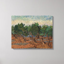 Lienzo Vincent van Gogh - Olivar