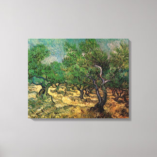 Lienzo Vincent van Gogh - Olive Grove