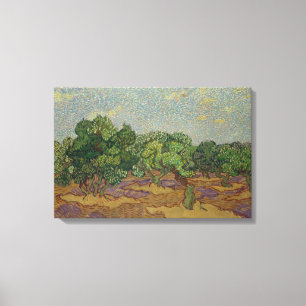 Lienzo Vincent van Gogh - Olivos