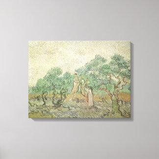 Lienzo Vincent van Gogh - Picking de olivos