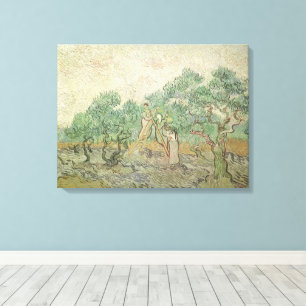 Lienzo Vincent van Gogh - Recolección de aceitunas