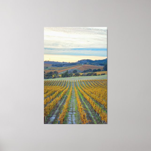 Lienzo Viñedo al atardecer (Anverso)