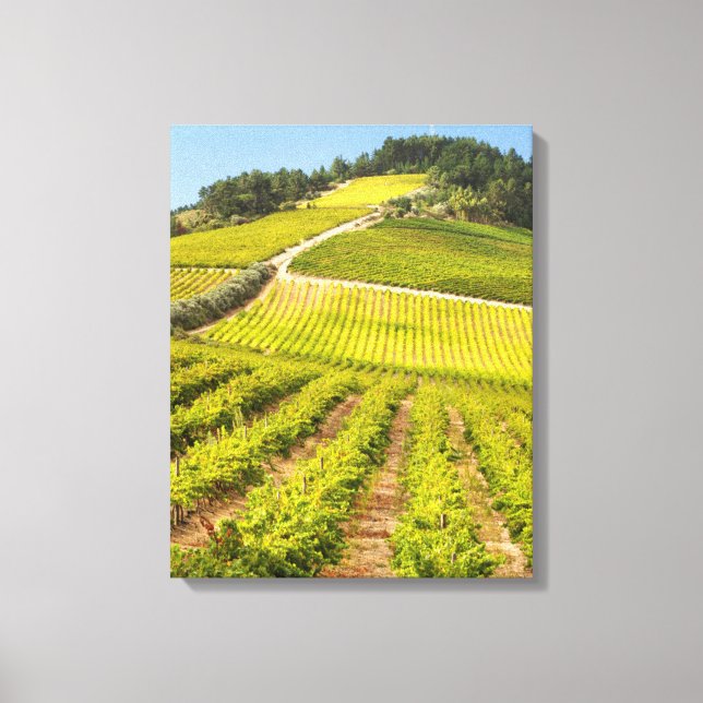 Lienzo Viñedo, Stellenbosch, Cabo Occidental (Anverso)