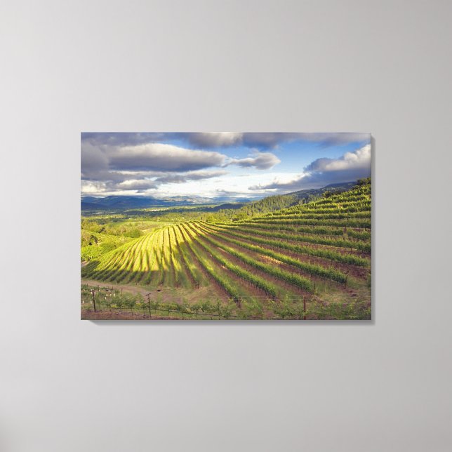 Lienzo Viñedo. Valle de Napa. Napa. Condado de Napa (Anverso)