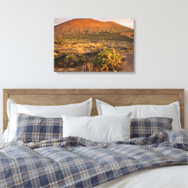 Lienzo Viñedo Volcánico y Caldera de Lanzarote al Atardec