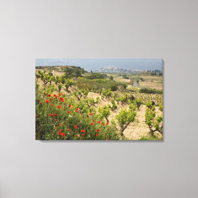 Lienzo Viñedos cerca de Laguardia, capital de La Rioja (Anverso)