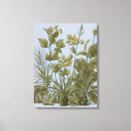 Lienzo Viñeta Botánica