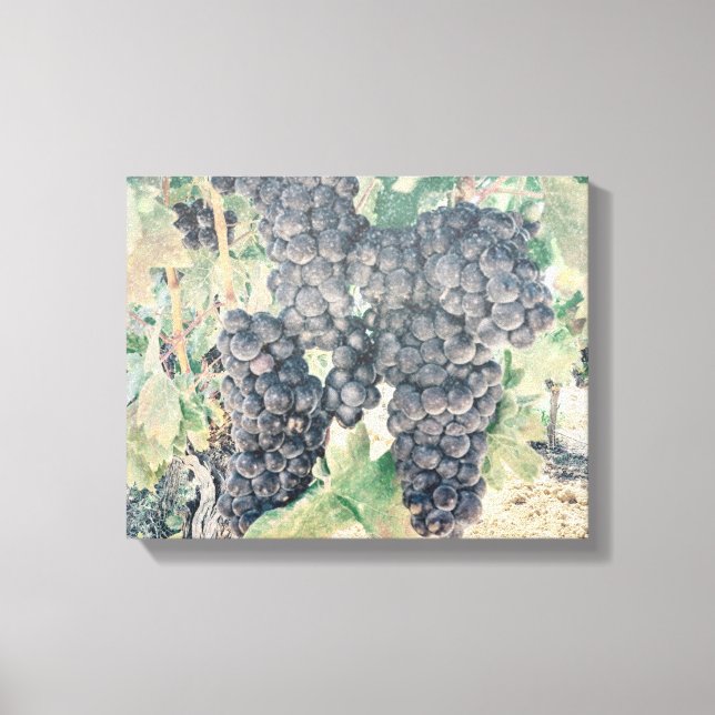 Lienzo *~* Vineyard Winery Grape Cluster AR21 Bodega de V (Anverso)
