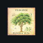 Lienzo Vintage Botanica Plumeria Tree Art Deco<br><div class="desc">La Antigua Plumeria Botánica Frangipani Árbol Art Deco. Haría una hermosa pared decorativa para su cocina o zona de comedor.</div>