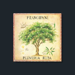 Lienzo Vintage Botanica Plumeria Tree Art Deco<br><div class="desc">La Antigua Plumeria Botánica Frangipani Árbol Art Deco. Haría una hermosa pared decorativa para su cocina o zona de comedor.</div>