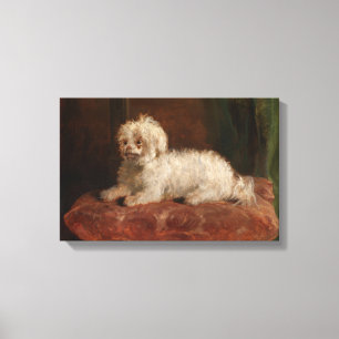 Lienzo Vintage Chico Thomas Musgrave Joy