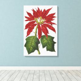 Lienzo Vintage Christmas, Red Poinsettia WinPlanta