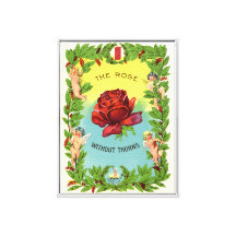 Vintage El Rosa Sin Lanzar A Cherubs