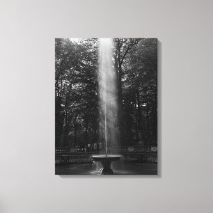 Lienzo Vintage France Versailles Palace Grove de Domes