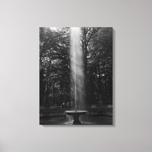 Lienzo Vintage France Versailles Palace Grove de Domes (Anverso)