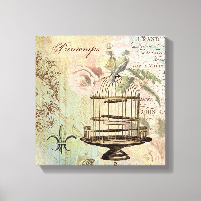 Lienzo Vintage lona estirada de jaulas (Anverso)