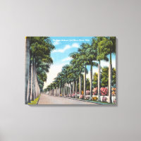 Vintage MacGregor Blvd Palms Fort Myers Florida
