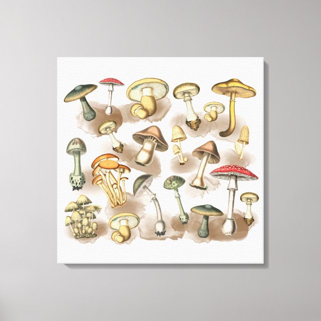 Lienzo Vintage Rustic Forest Mushrooms (Anverso)