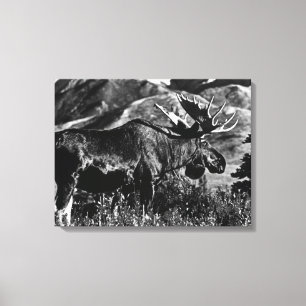 Lienzo Vintage USA Alaska toro