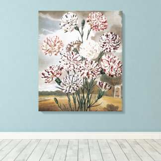 Lienzo Vintage Variegated Carnation Flowers with Grey Sky