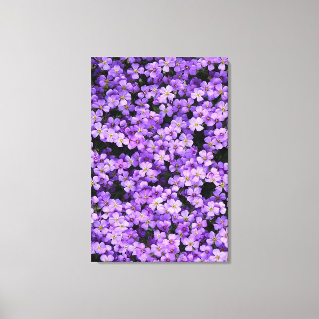 Lienzo Viola Canvas Imprimir Flores Violetas Primavera (Anverso)