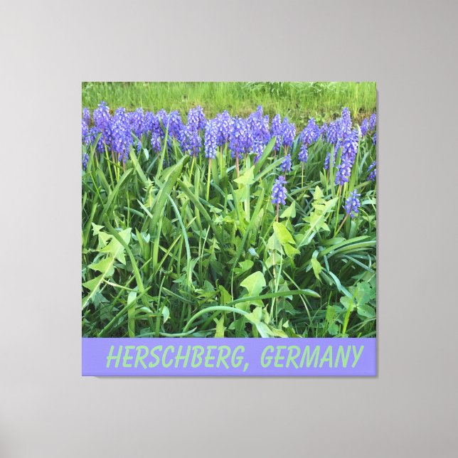 Lienzo Violet Bluebell (Anverso)
