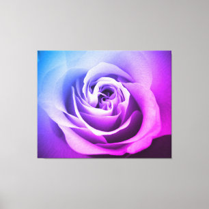 Lienzo Violet Rosa