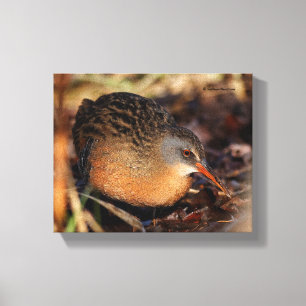 Lienzo Virginia Rail in the Undercel