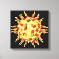 Virus de la polio, mostrando los receptores