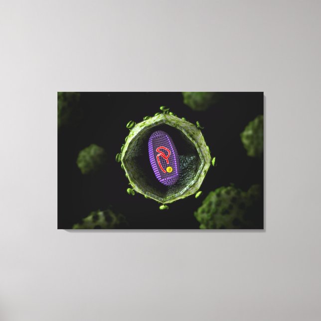 Lienzo Visión Microscópica Del Virus Del VIH, Sección Cru (Anverso)