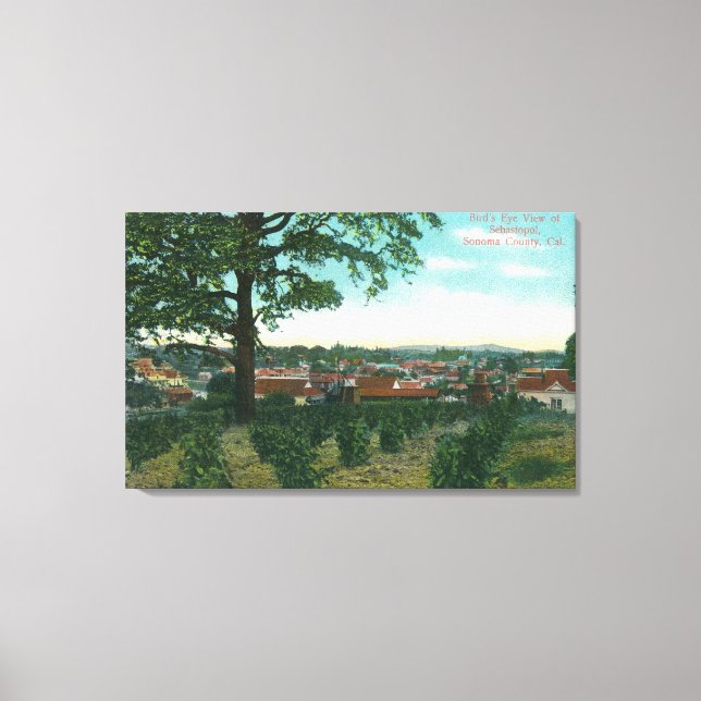 Lienzo Vista aérea de la ciudad de Sebastopol, CA (Anverso)