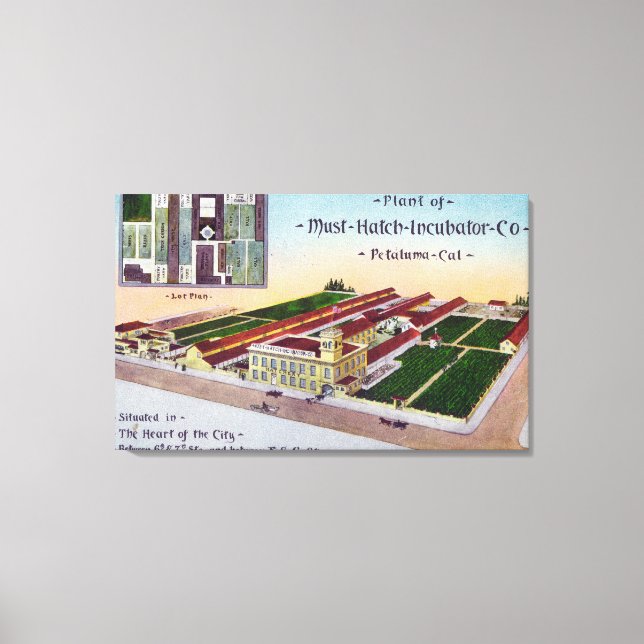 Lienzo Vista aérea de la incubadora Must-Hatch Co Bldg (Anverso)