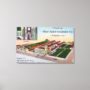 Lienzo Vista aérea de la incubadora Must-Hatch Co Bldg