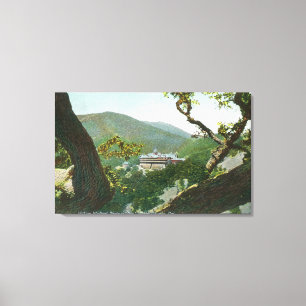 Lienzo Vista aérea del Witter Medical Springs Hotel