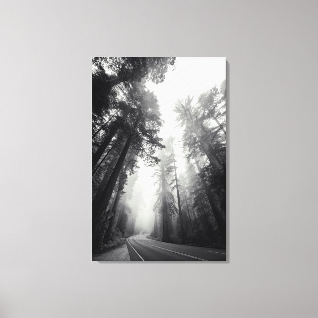 Lienzo Vista De Árboles De Secuoyas En Bosques (Anverso)