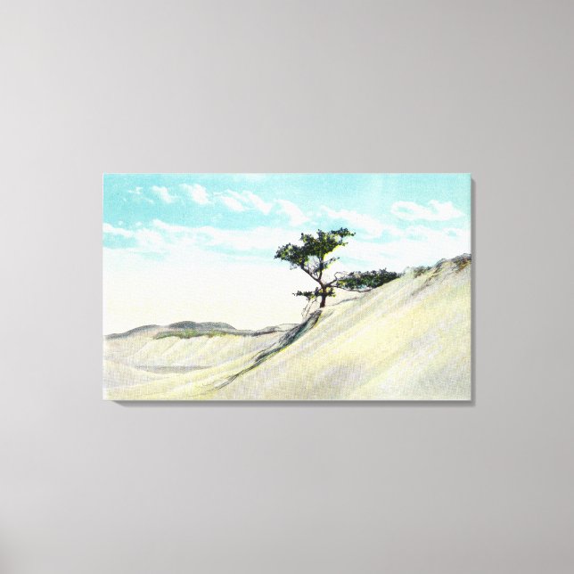 Lienzo Vista de Dorothy Bradford Steamer (Anverso)