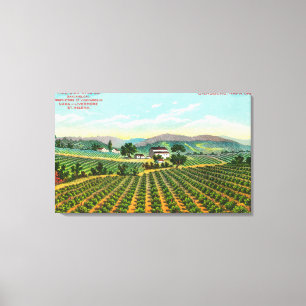 Lienzo Vista de Giersberg VineyardNapa, CA