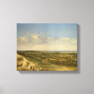 Lienzo Vista de Haarlem de las dunas (aceite en lona)