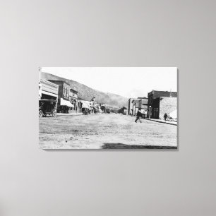 Lienzo Vista de la avenida de la cabaña