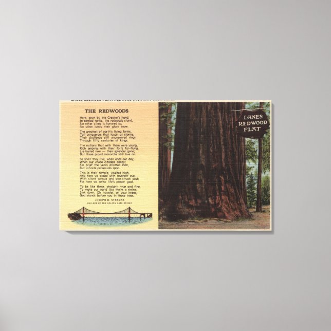 Lienzo Vista de la Llanura de secuoya de Lanes (Anverso)